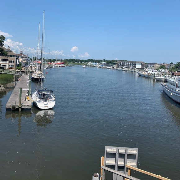 Meet the Posher Other - Meet your Posher, Danielle